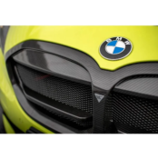 Fibre de Carbone Avant Grill BMW 1 F40 M-Pack/ M135i