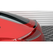  Spoiler Cap Audi TT 8J